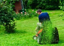 Kwikfynd Lawn Mowing
molangul